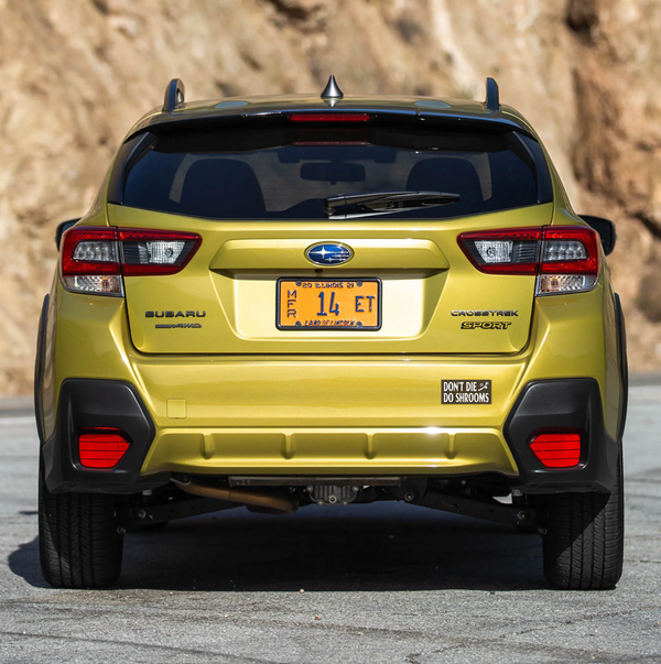 "DON'T DIE DO SHROOMS" Bumper Sticker